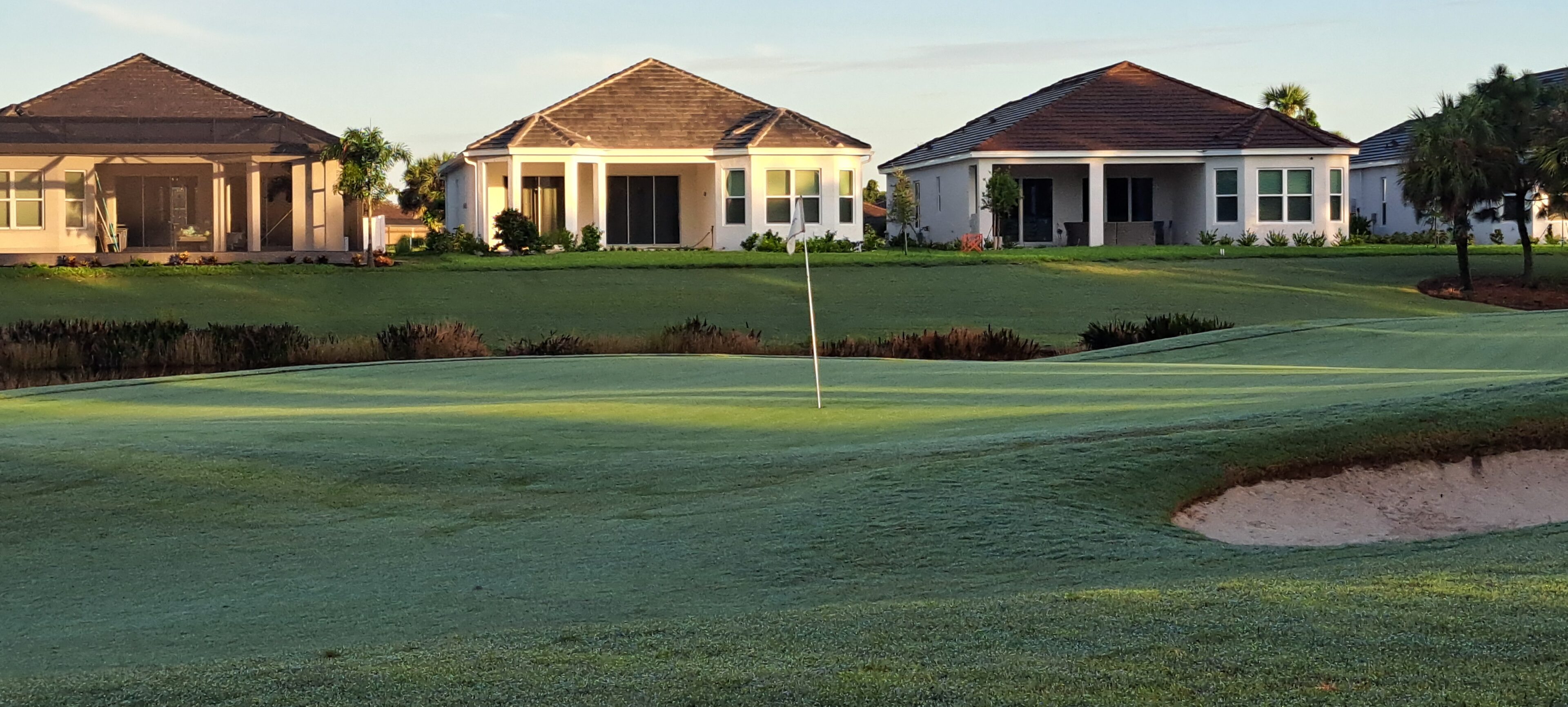 Golf green with flagstick and houses in the background.